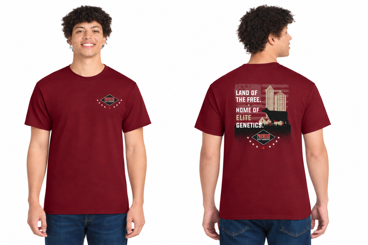 2026 Holiday 250th USA T-Shirts