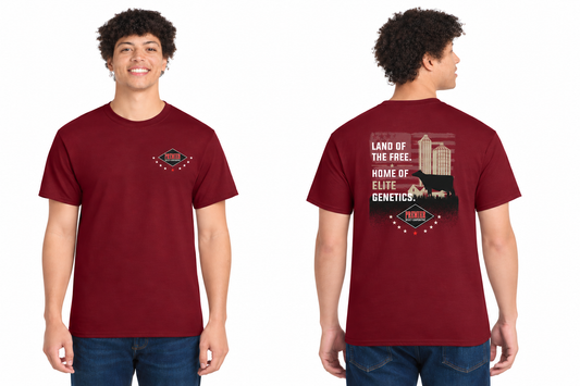 2026 Holiday 250th USA T-Shirts